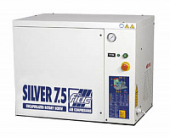 NEW SILVER 20