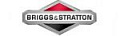 Briggs & Stratton Briggs & Stratton