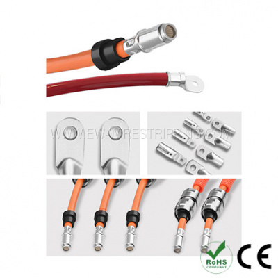 EW-5245-30T
