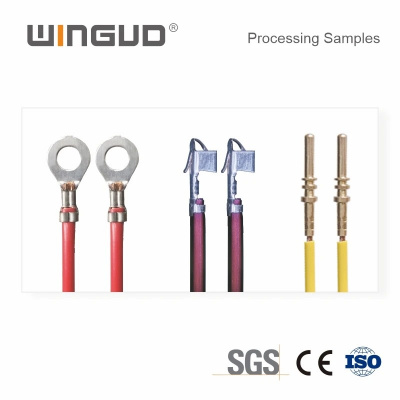 WG-6302